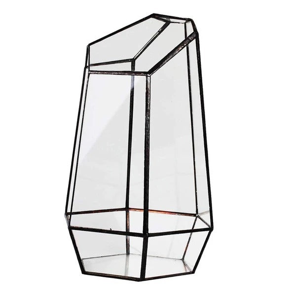 Eco-Friendly Plant Bottle for Stylish Home Decor