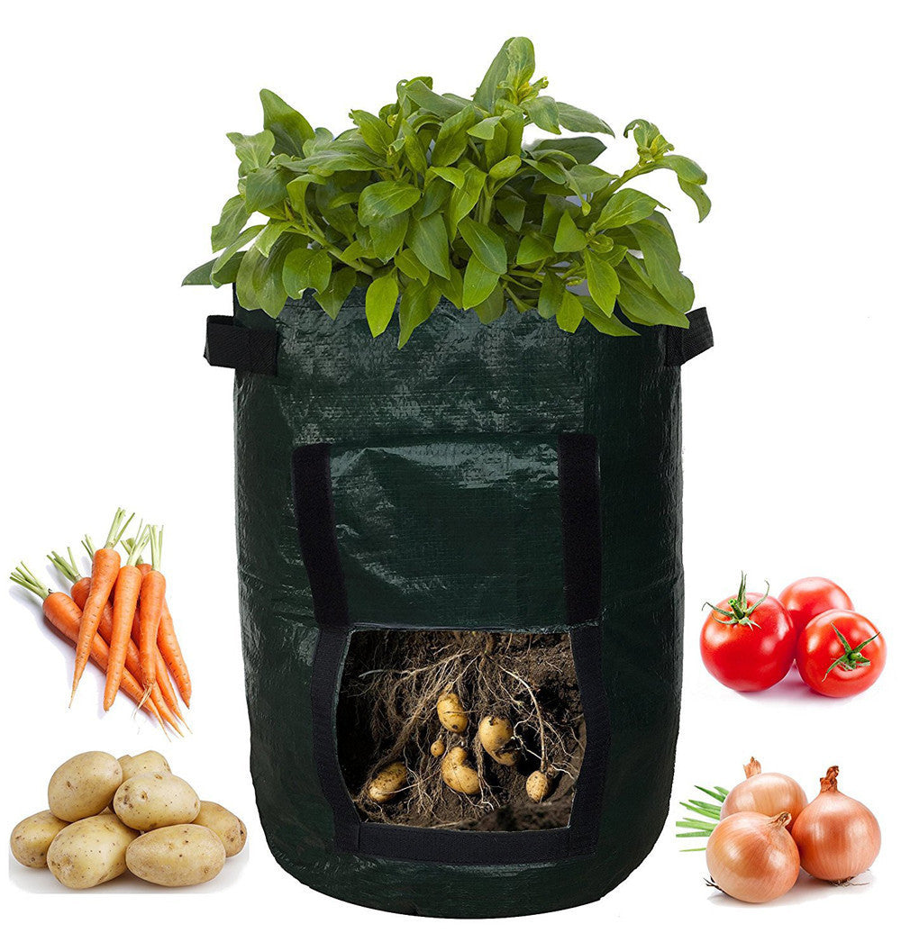 Eco-Friendly Reusable Grow Bag for Urban Gardening