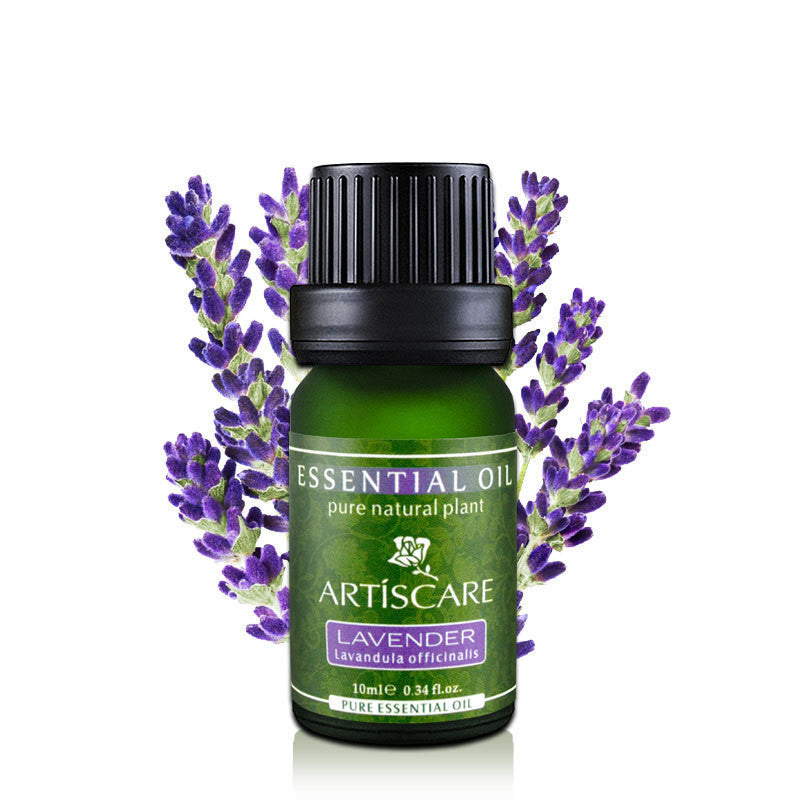 Lavender Essential Oil in Eco-Friendly Glass Bottle for Aromatherapy