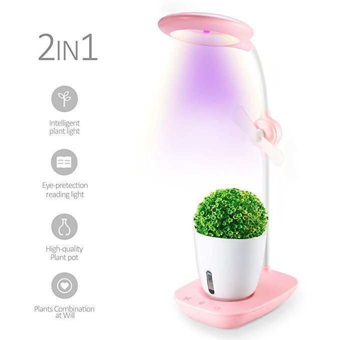 Eco-Friendly Desk Air Purifier with Integrated Plant
