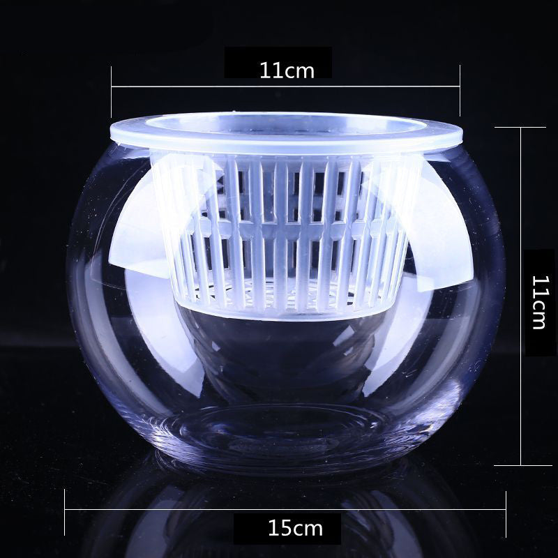 Clear Round Hydroponic Plant Vase for Indoor Gardening