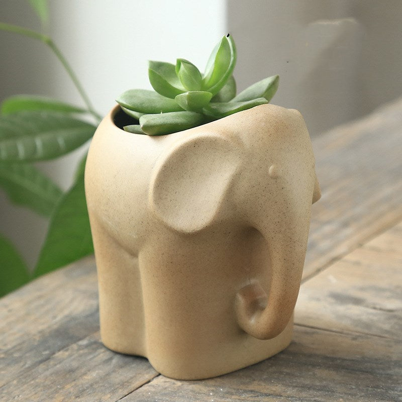 Eco-Friendly Elephant and Cat Succulent Planters