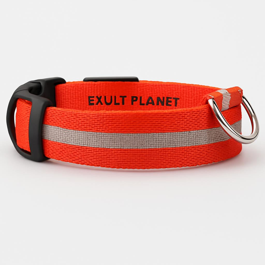 Eco-Friendly LED Safety Dog Collar