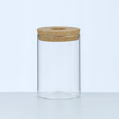Eco-Friendly Glass Gardening Vase for Home & Office