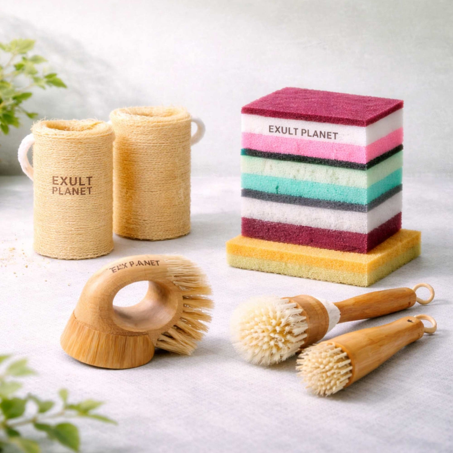 Biodegradable Sponges & Brushes