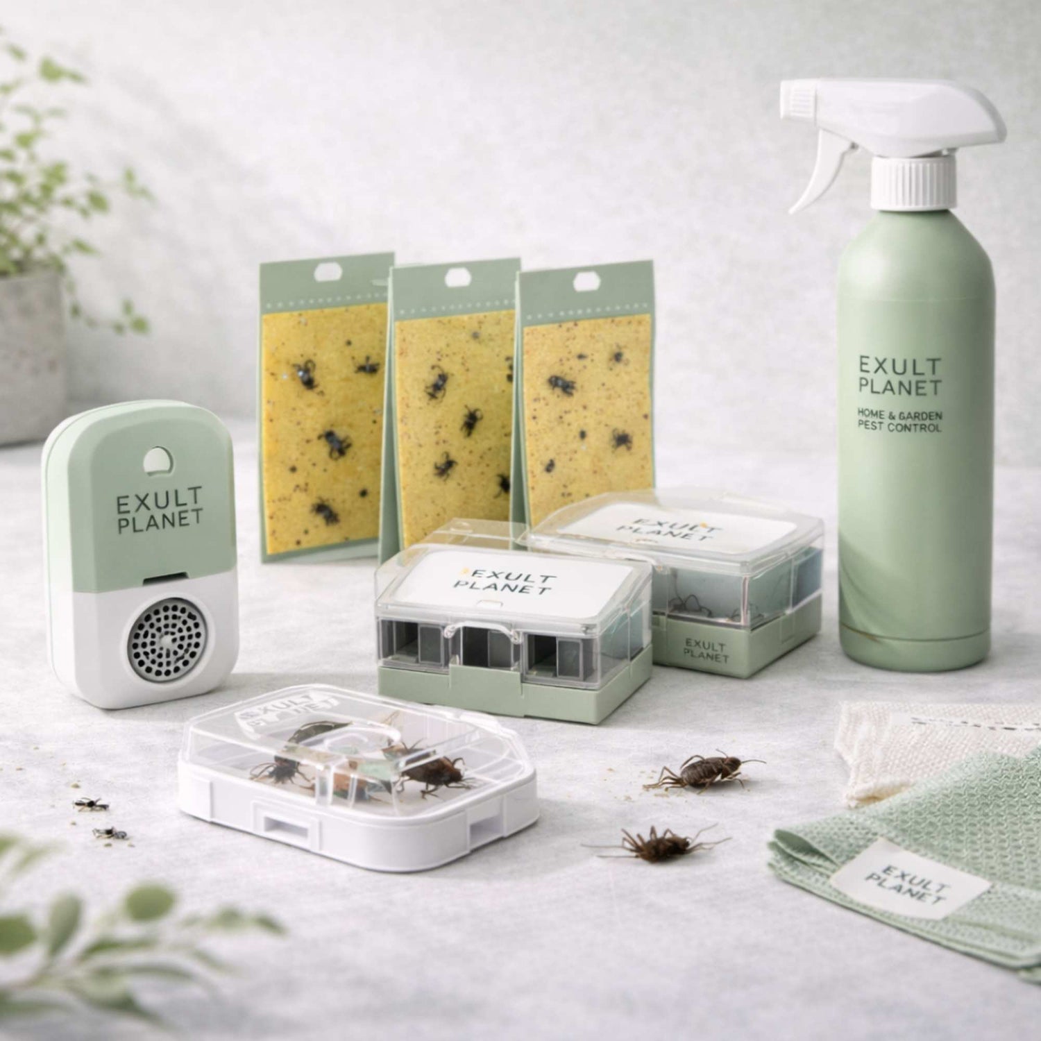 Insect & Pest Control