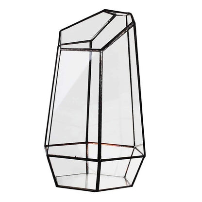 Eco-Friendly Plant Bottle for Stylish Home Decor