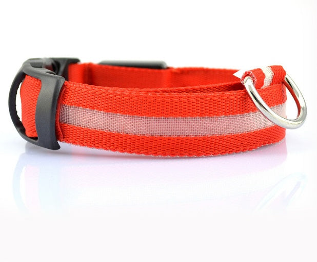 Eco-Friendly LED Safety Dog Collar for nighttime visibility
