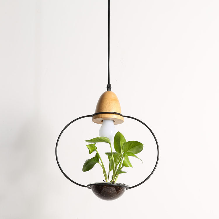 Teardrop Hanging Light Fixture with Integrated Planter - Black Frame, Wooden Accent