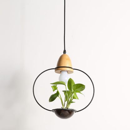 Teardrop Hanging Light Fixture with Integrated Planter - Black Frame, Wooden Accent