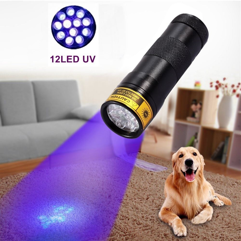 UV Flashlight for Counterfeit Detection