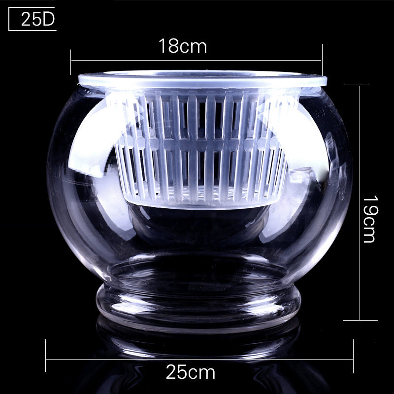 Clear Round Hydroponic Plant Vase for Indoor Gardening