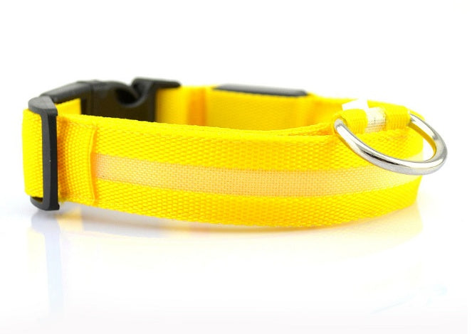 Eco-Friendly LED Safety Dog Collar for nighttime visibility