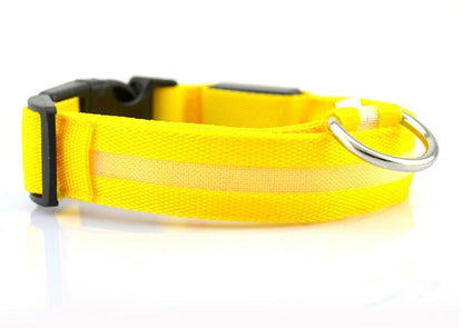 Eco-Friendly LED Safety Dog Collar for nighttime visibility