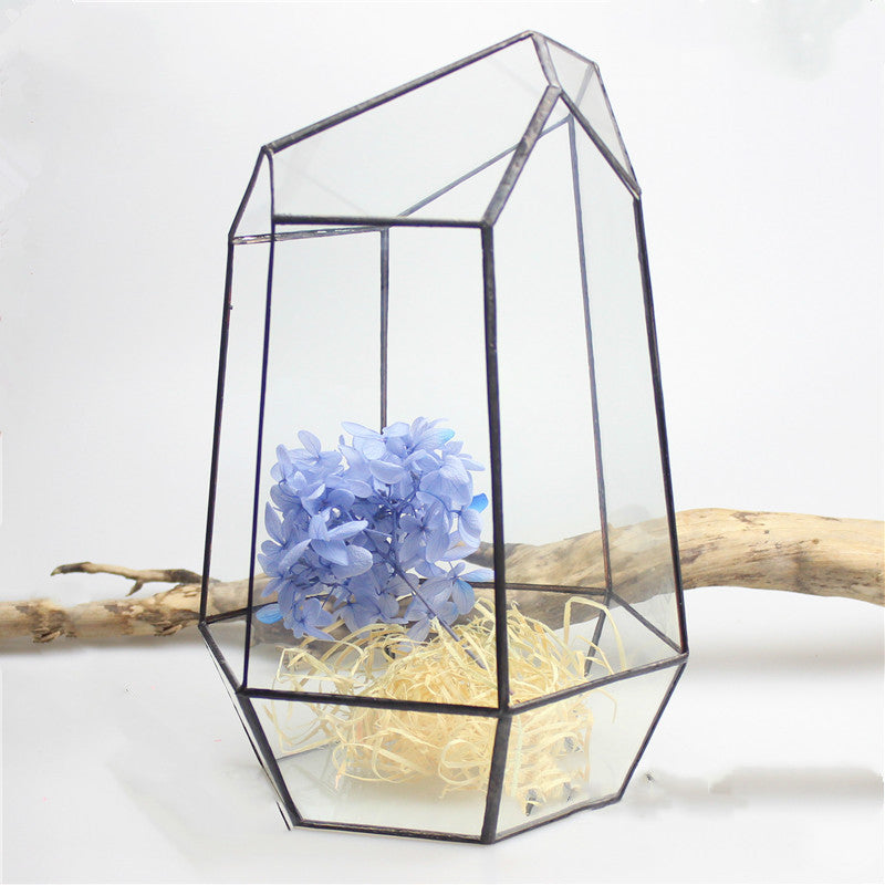 Geometric glass terrarium with clear glass and black metal edges
