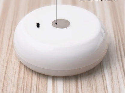 Eco-Friendly LED Night Light with Wooden Base