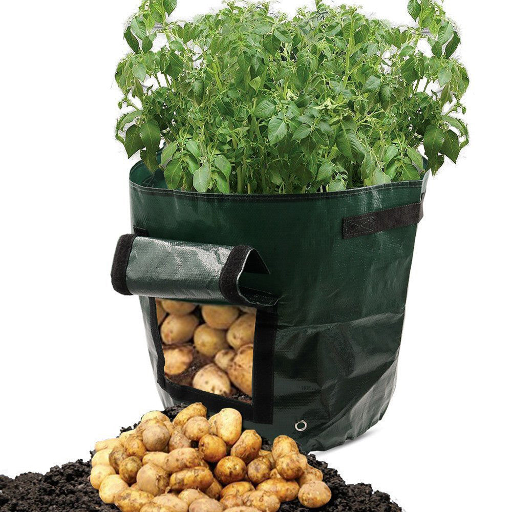 Eco-Friendly Reusable Grow Bag for Urban Gardening
