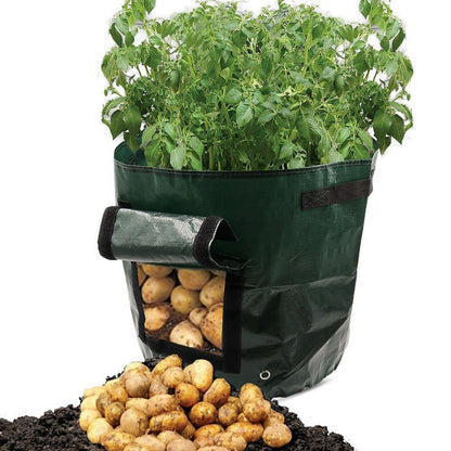Eco-Friendly Reusable Grow Bag for Urban Gardening