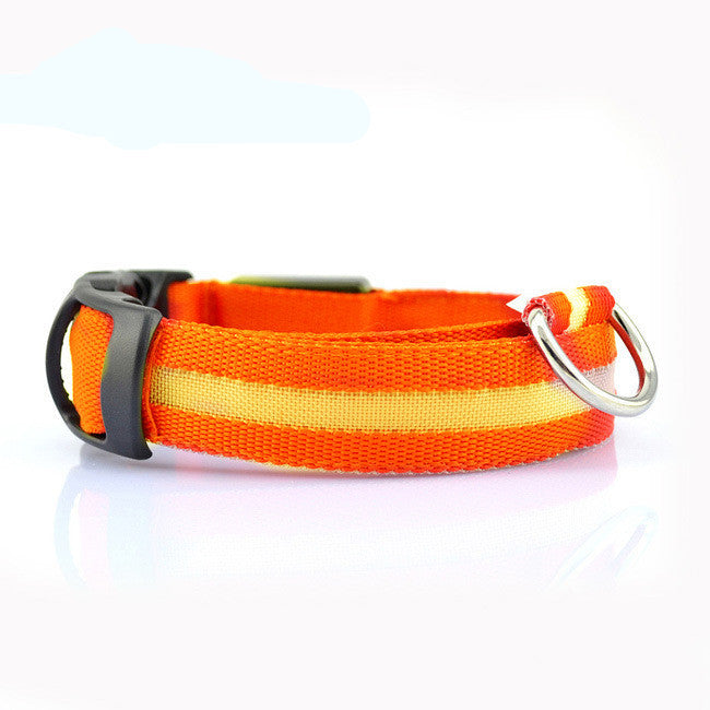 Eco-Friendly LED Safety Dog Collar for nighttime visibility