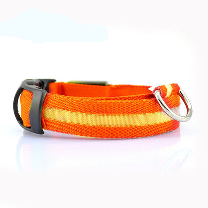 Eco-Friendly LED Safety Dog Collar for nighttime visibility