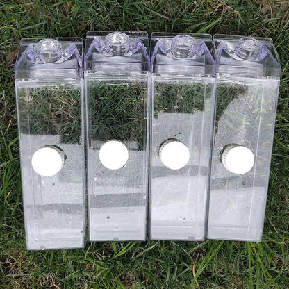 Transparent Rectangular Reusable Water Bottle - Eco-Friendly Hydration Solution