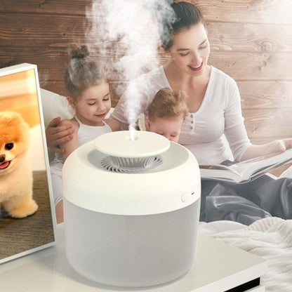 Eco-Friendly Cylindrical Humidifier for Wellness and Air Quality