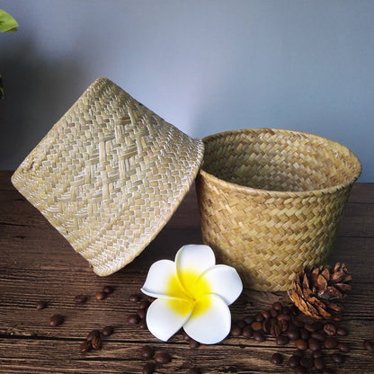 Natural Beige Woven Storage Basket for Plants & Decor
