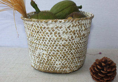 Natural Beige Woven Storage Basket for Plants & Decor