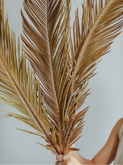 Natural Dried Fructose Dragon Blood Palm Fan Leaves – Boho Wedding & Home Décor