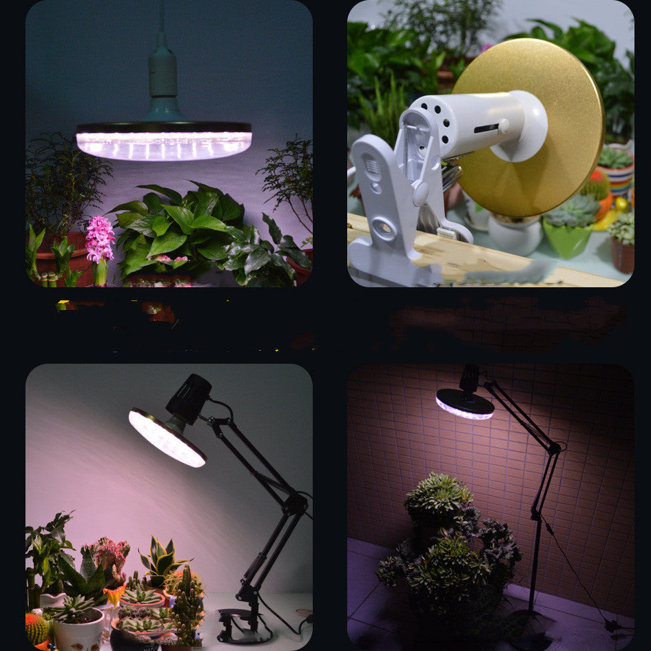 Energy-Efficient LED Planet Grow Light for Indoor Plants