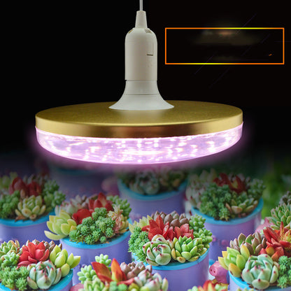 Energy-Efficient LED Planet Grow Light for Indoor Plants