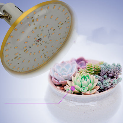 Energy-Efficient LED Planet Grow Light for Indoor Plants