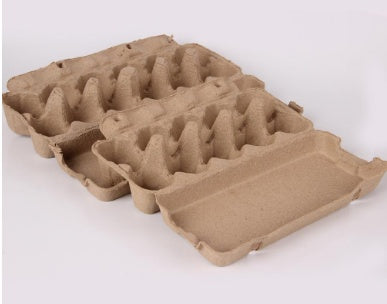 Eco-Friendly Egg Carton - Sustainable, Biodegradable Packaging for a Greener Planet