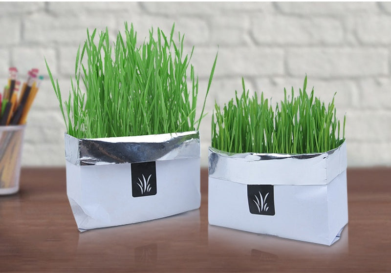 Eco-Friendly Indoor Plant Growing Kit