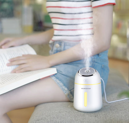 Portable Ultrasonic Humidifier for Wellness and Air Quality