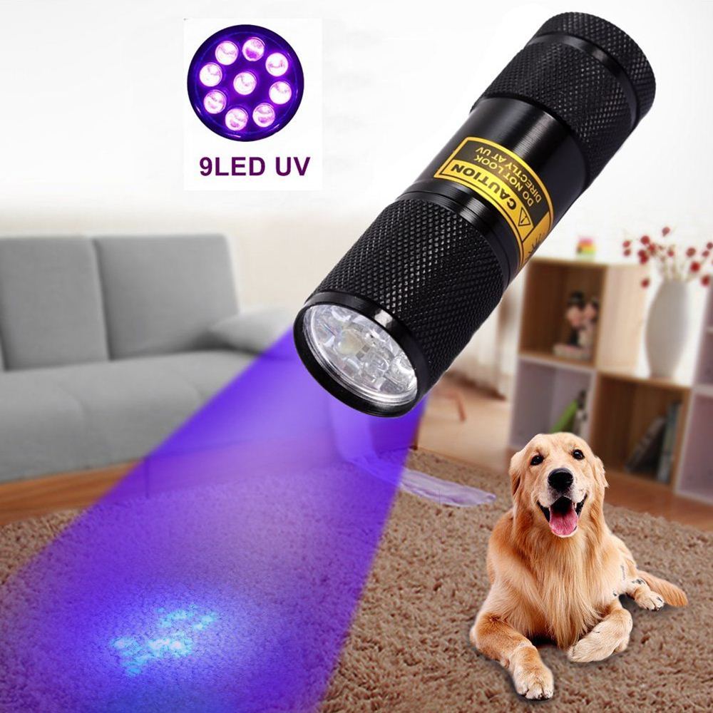UV Flashlight for Counterfeit Detection