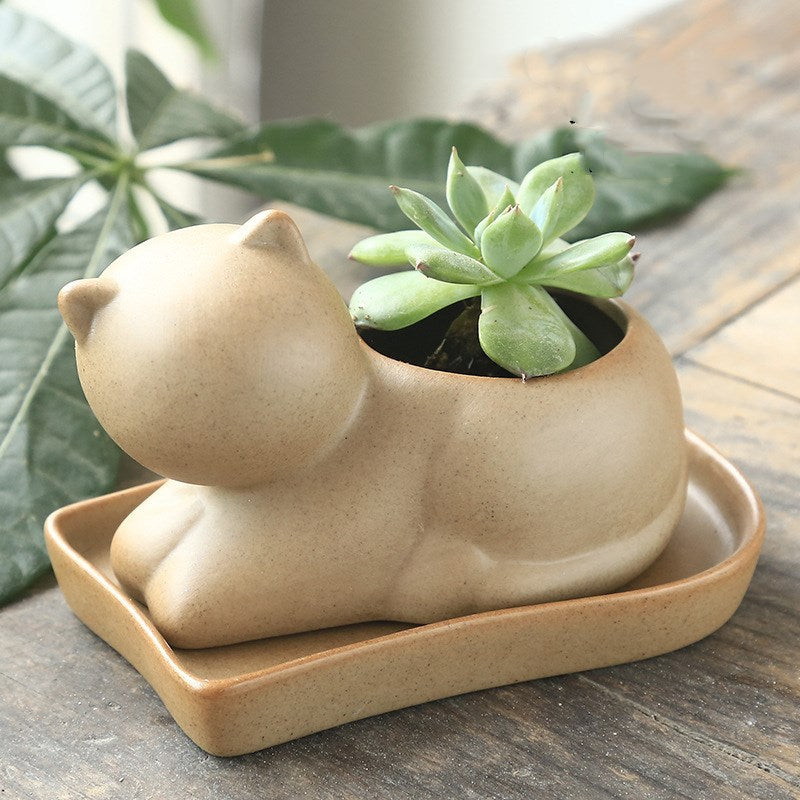 Eco-Friendly Elephant and Cat Succulent Planters