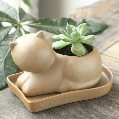 Eco-Friendly Elephant and Cat Succulent Planters