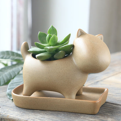 Eco-Friendly Elephant and Cat Succulent Planters