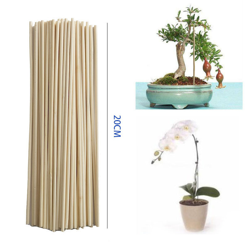Eco-Friendly Bamboo Plant Support Sticks for Sustainable Gardening