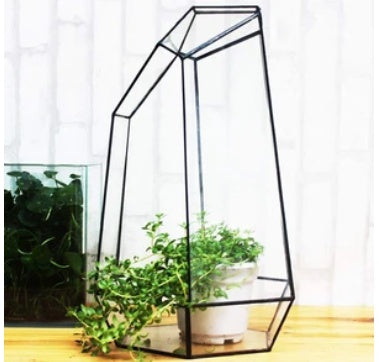 Eco-Friendly Plant Bottle for Stylish Home Decor