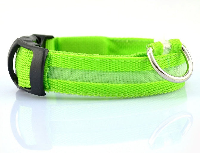 Eco-Friendly LED Safety Dog Collar for nighttime visibility