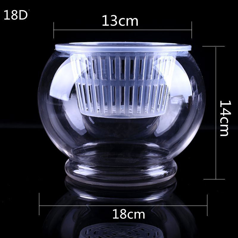 Clear Round Hydroponic Plant Vase for Indoor Gardening
