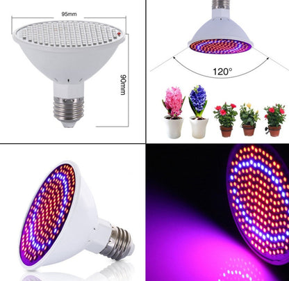 Energy-Efficient Indoor LED Grow Light Bulb with White Casing and Red and Blue LED Lights