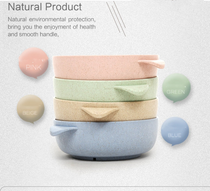 Eco-Friendly Biodegradable Rice Bowl and Spoon Set