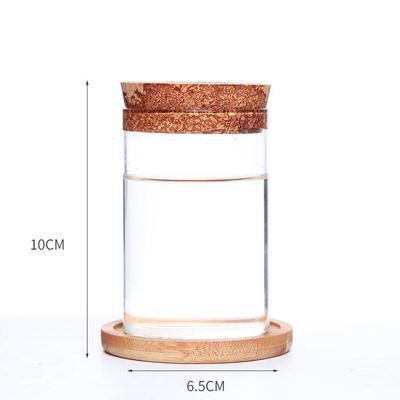 Eco-Friendly Glass Gardening Vase for Home & Office