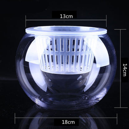 Clear Round Hydroponic Plant Vase for Indoor Gardening