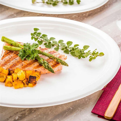 Eco-Friendly Biodegradable Round Dinner Plate