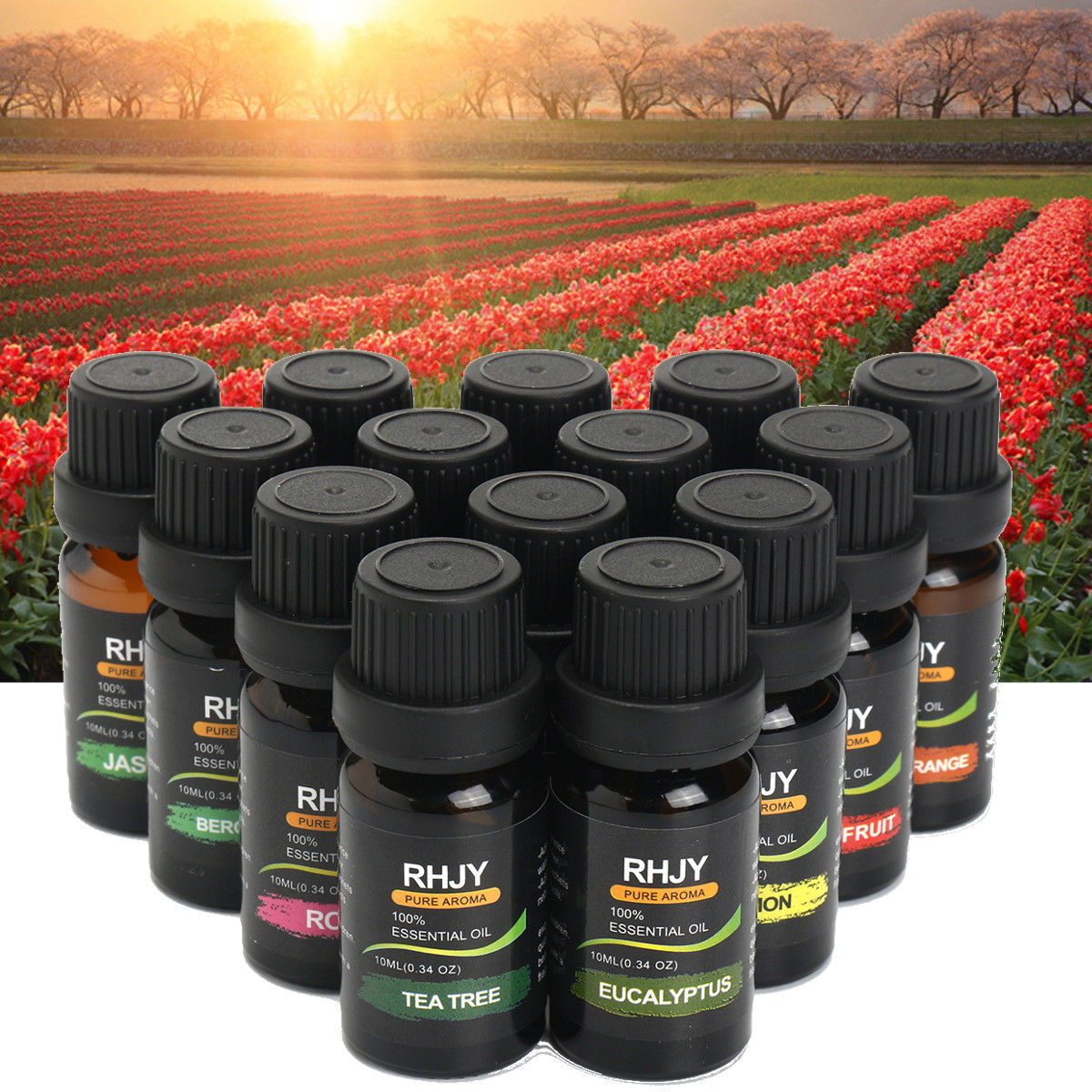 Aromatherapy Essential Oil Set for Wellness and Relaxation