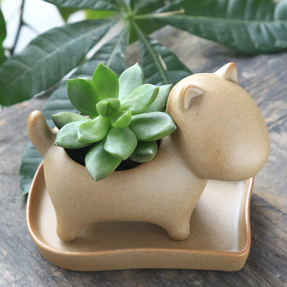 Eco-Friendly Elephant and Cat Succulent Planters